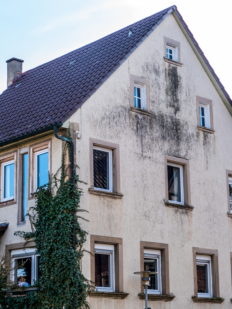 Grote woning van de buitenzijde. Bovenaan de woning is tussen de ramen een grote donkere schimmelplek ontstaan.